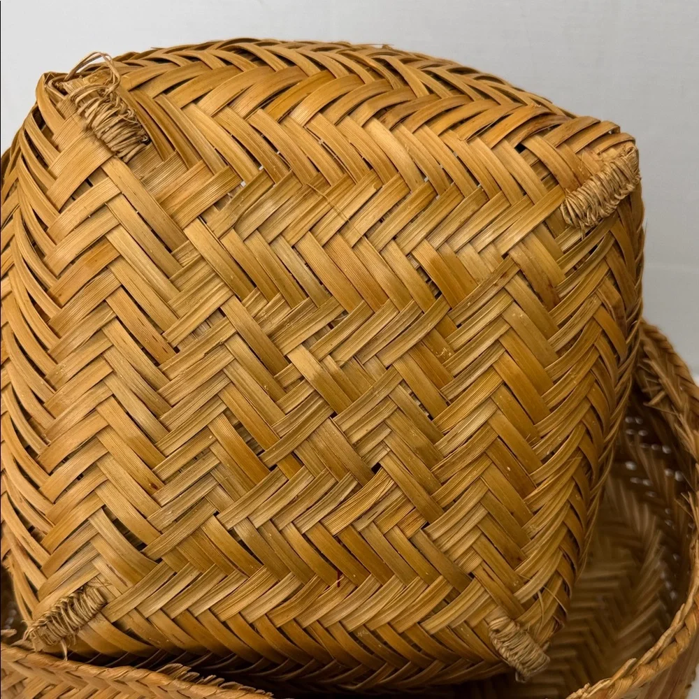 Source Unknown Brown Woven Basket Set of 2
